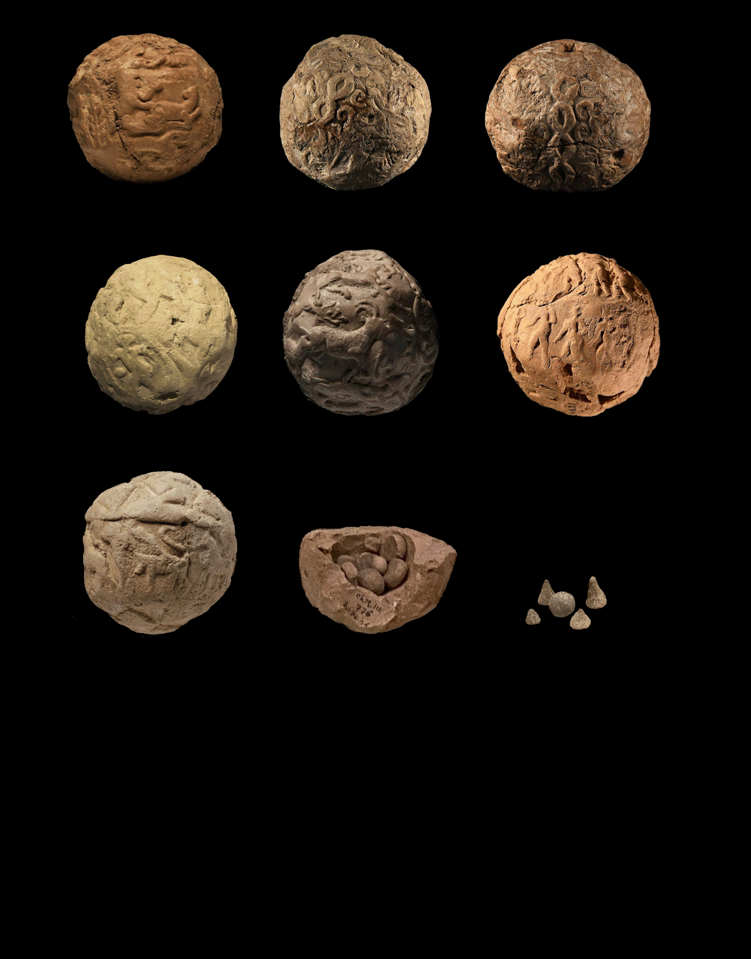 Cryptomorphs book cover